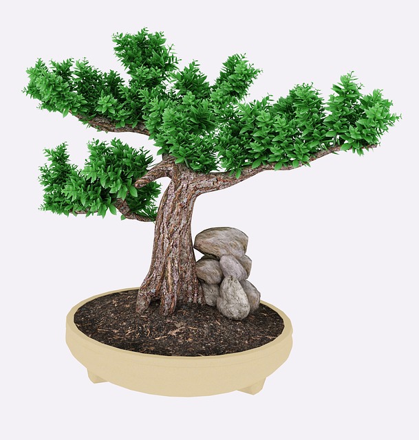 Japon Sanatı: Bonsai Ağacı
